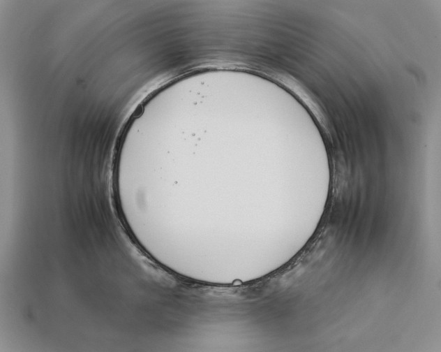 X0000112930861200909211112