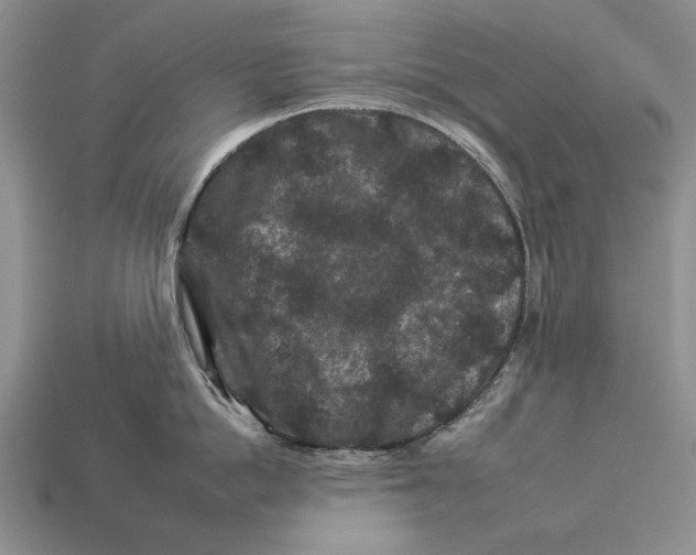X0000112930862200909211112