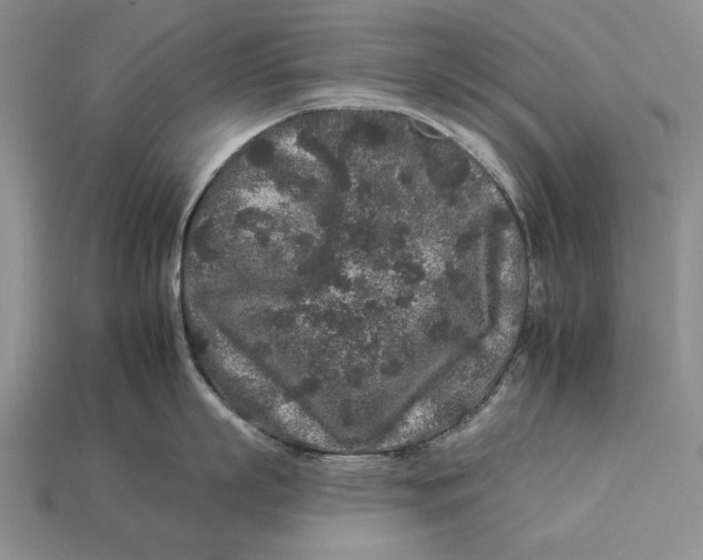 X0000112930863200909211112