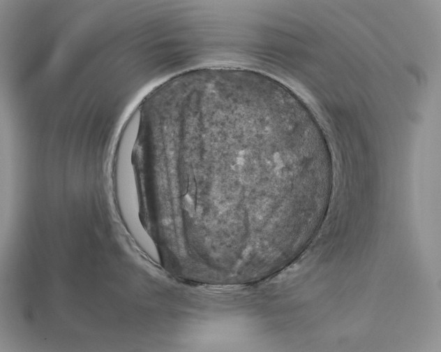 X0000112930864200909211112