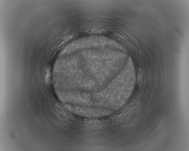 X0000112930866200909211112