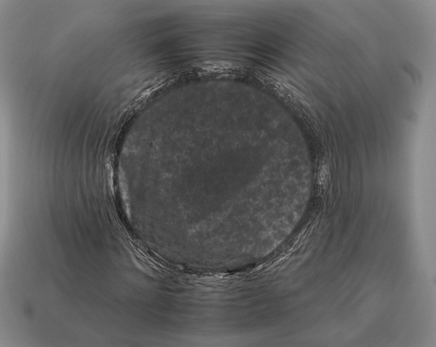 X0000112930868200909211112
