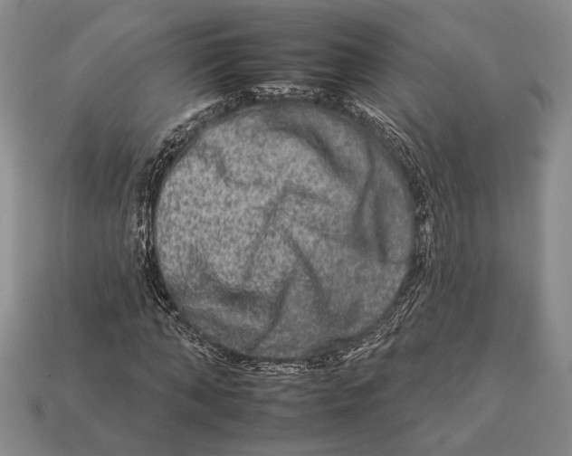 X0000112930870200909211112