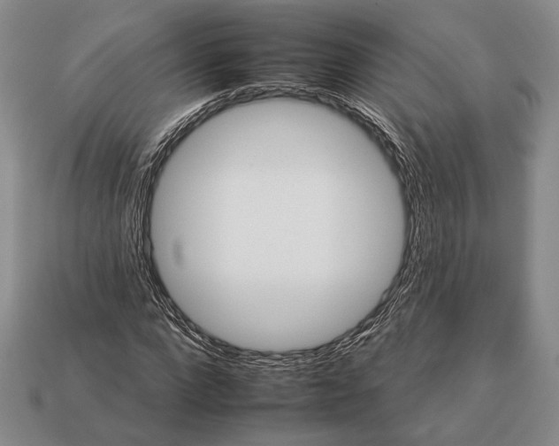 X0000112930872200909211111