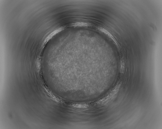 X0000112930874200909211111