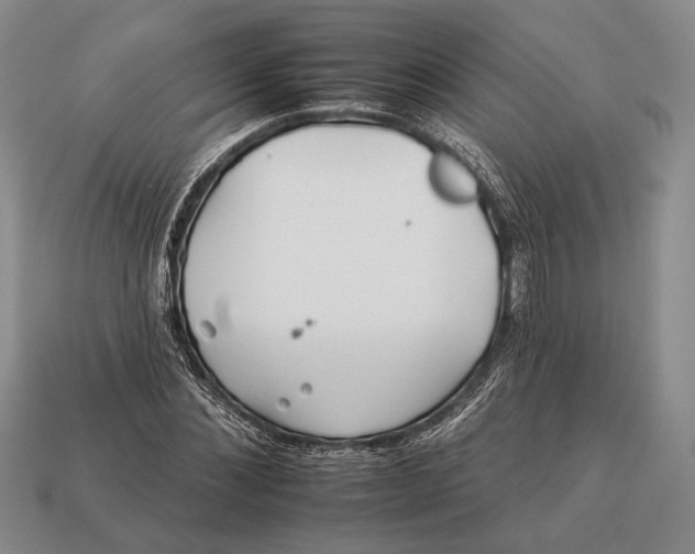 X0000112930876200909211111