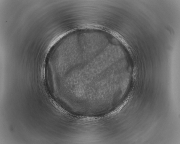 X0000112930877200909211111