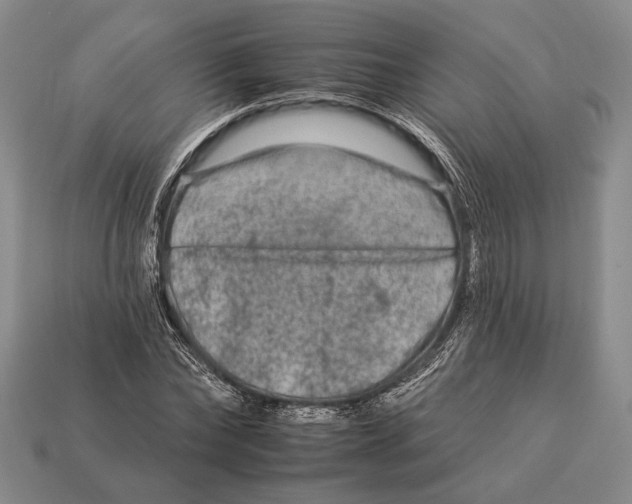 X0000112930878200909211111