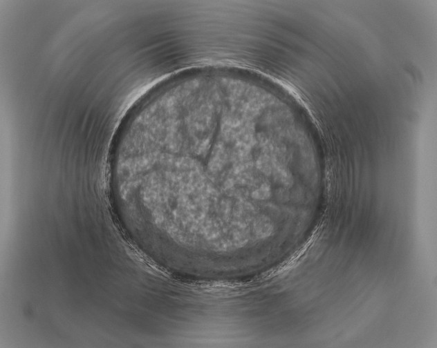 X0000112930879200909211111