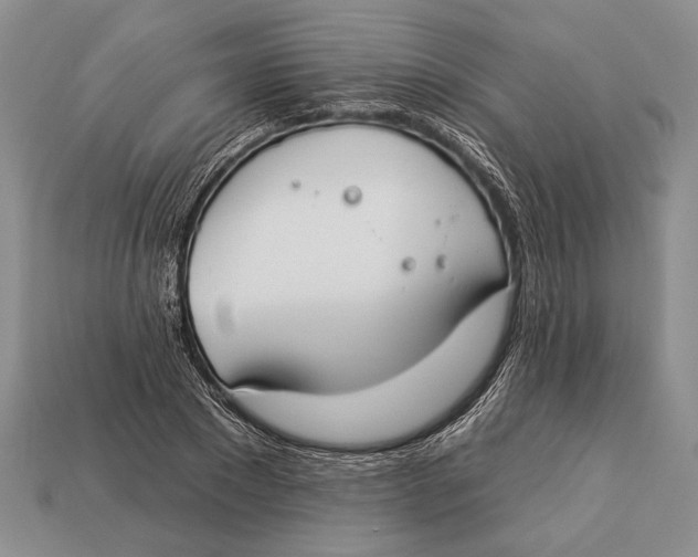 X0000112930881200909211111