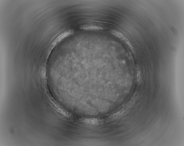 X0000112930882200909211111