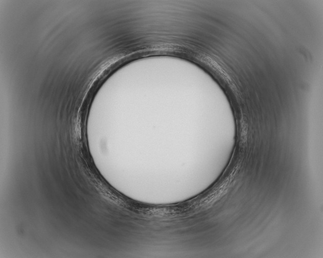 X0000112930883200909211111