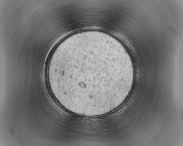 X0000112930884200909211111