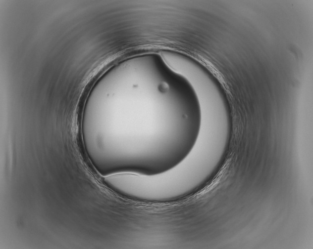 X0000112930885200909211111