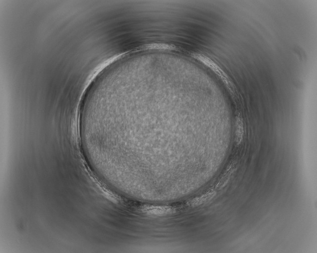 X0000112930886200909211111
