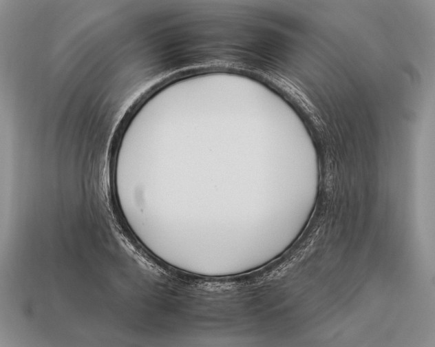 X0000112930888200909211111