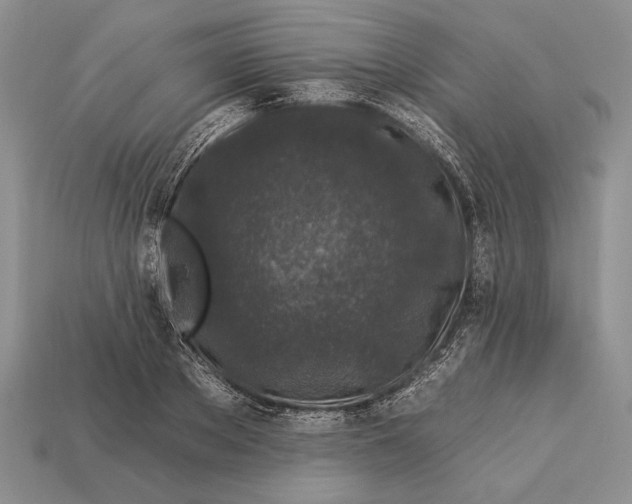 X0000112930889200909211111