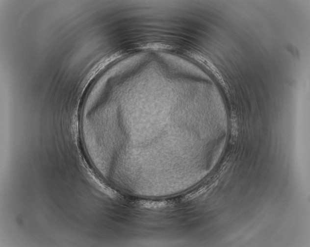 X0000112930890200909211111