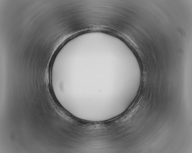 X0000112930891200909211111