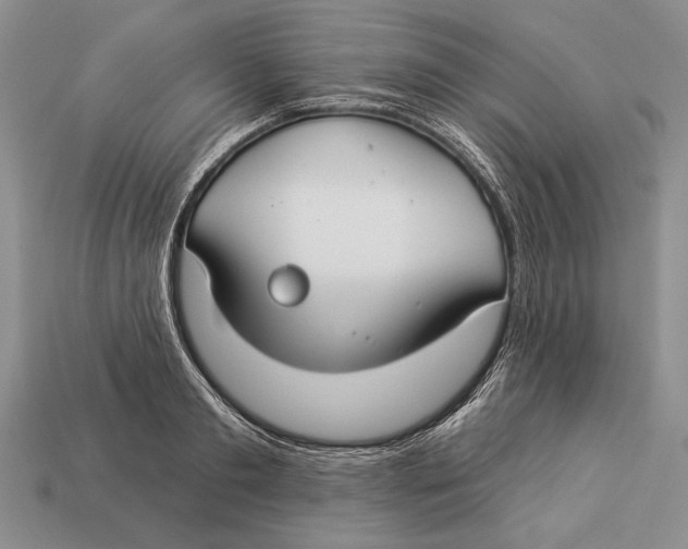 X0000112930893200909211111