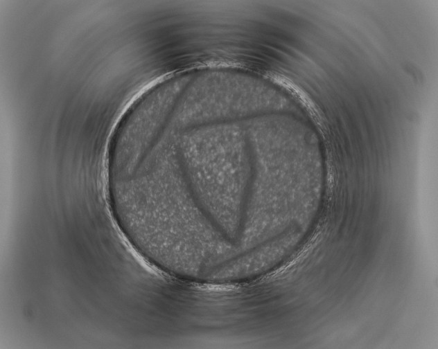 X0000112930894200909211111