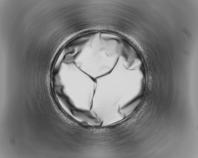 X0000112930895200909211111