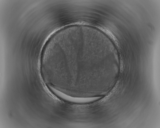 X0000112930896200909211111