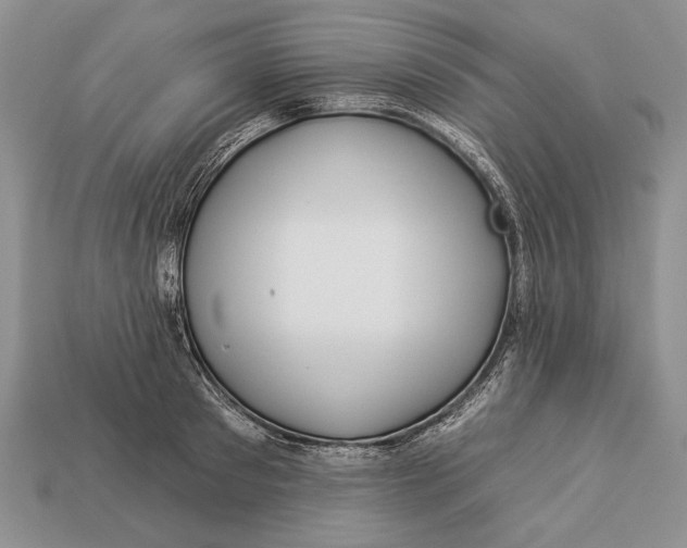 X0000112930897200909211111