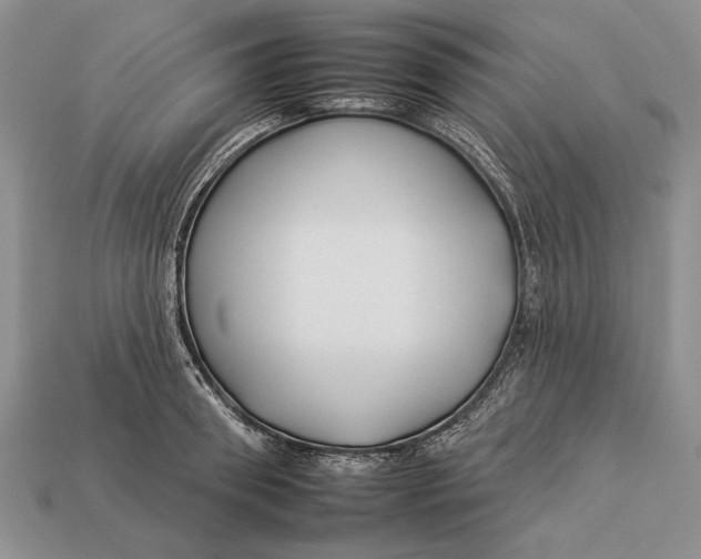 X0000112930898200909211111
