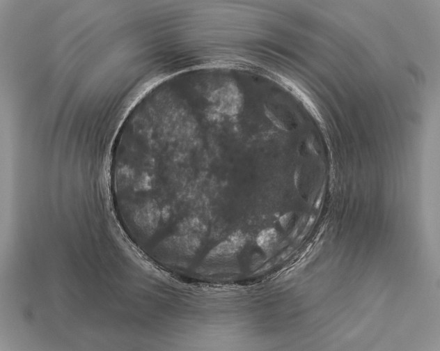 X0000112930899200909211111