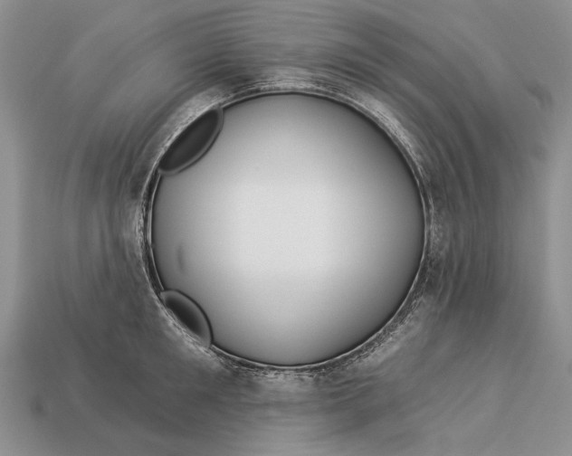 X0000112930901200909211111