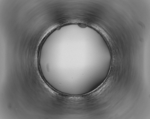 X0000112930902200909211111