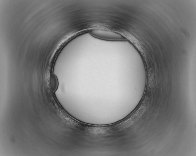 X0000112930904200909211111