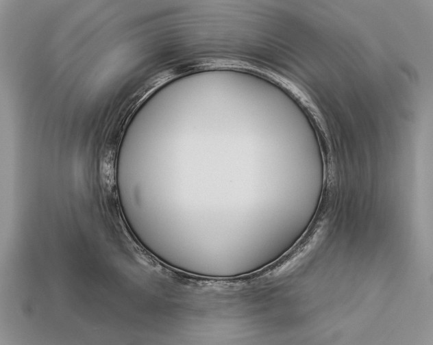 X0000112930905200909211111