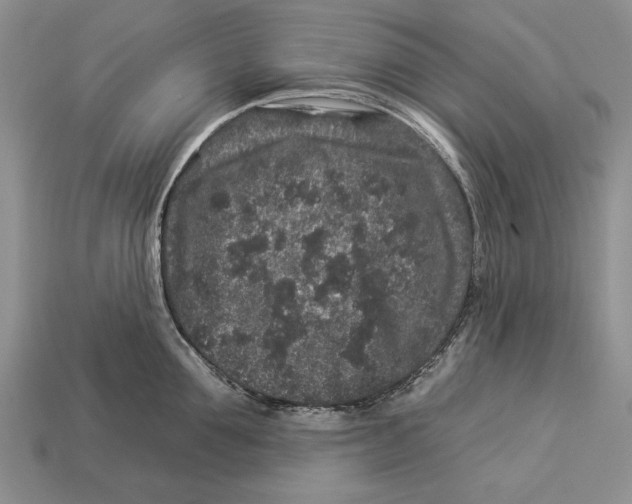 X0000112930907200909211111