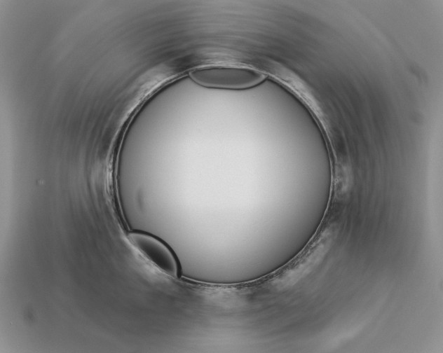 X0000112930909200909211111