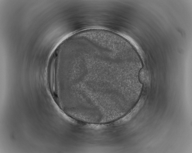 X0000112930910200909211111