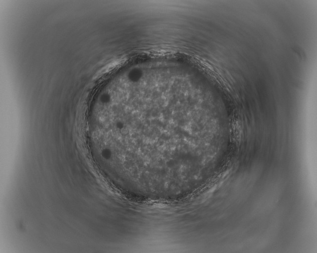 X0000112930913200909211110