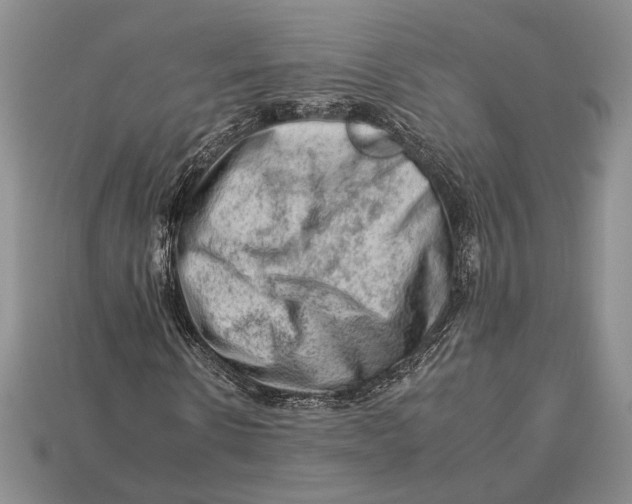 X0000112930914200909211110