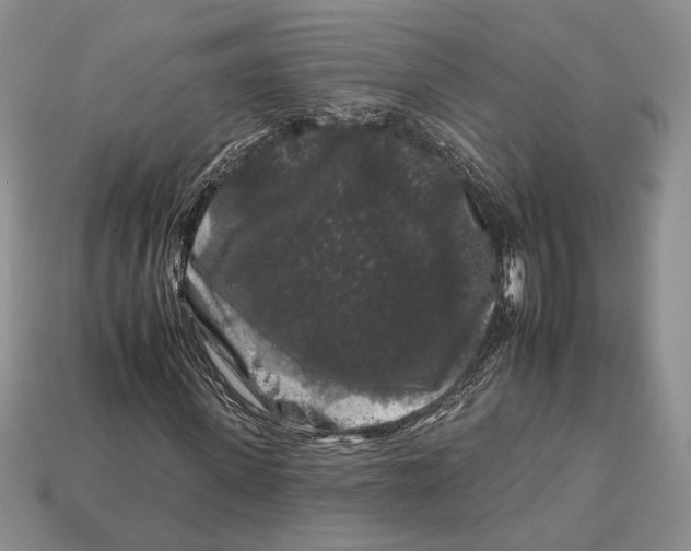 X0000112930915200909211110