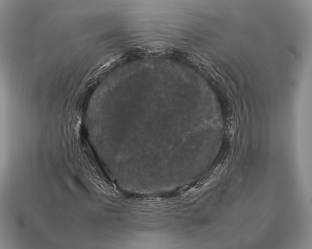 X0000112930916200909211110