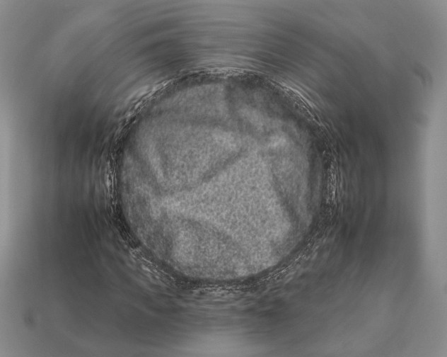 X0000112930917200909211110