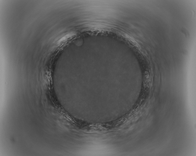 X0000112930918200909211110