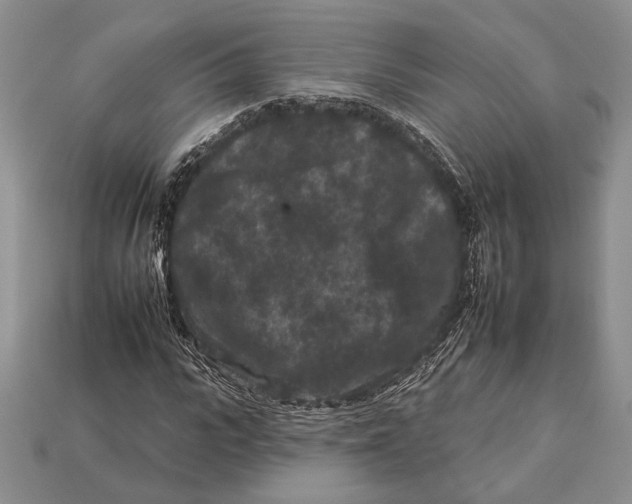 X0000112930919200909211110