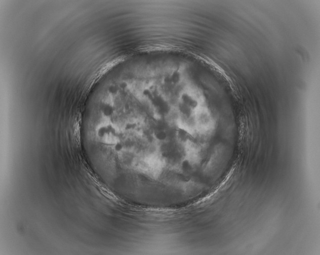 X0000112930921200909211110