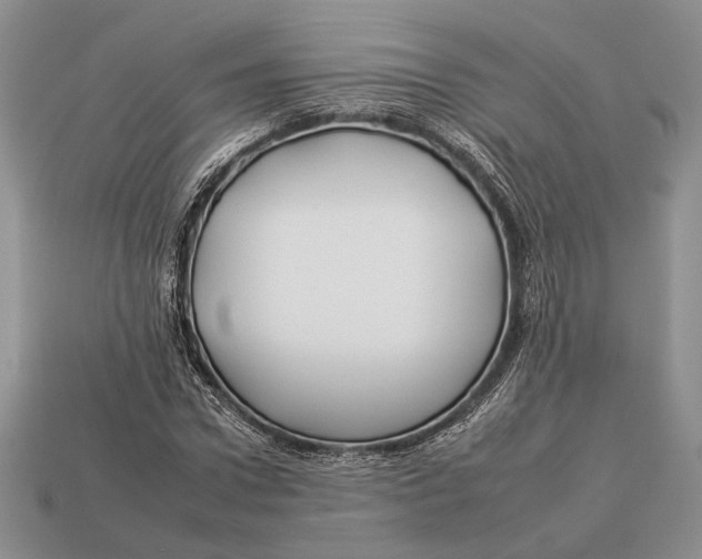X0000112930922200909211110