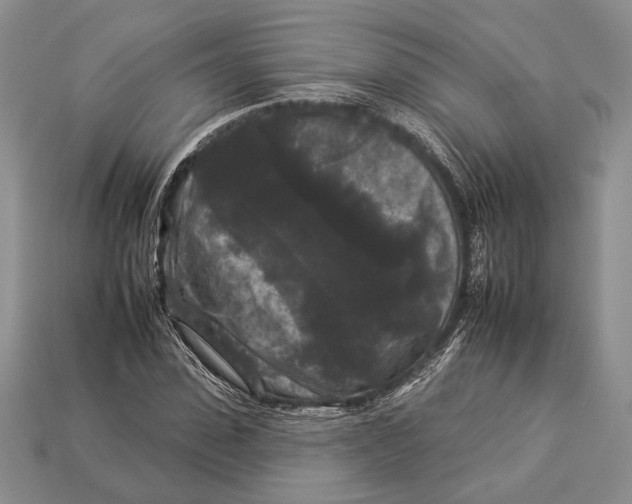 X0000112930923200909211110
