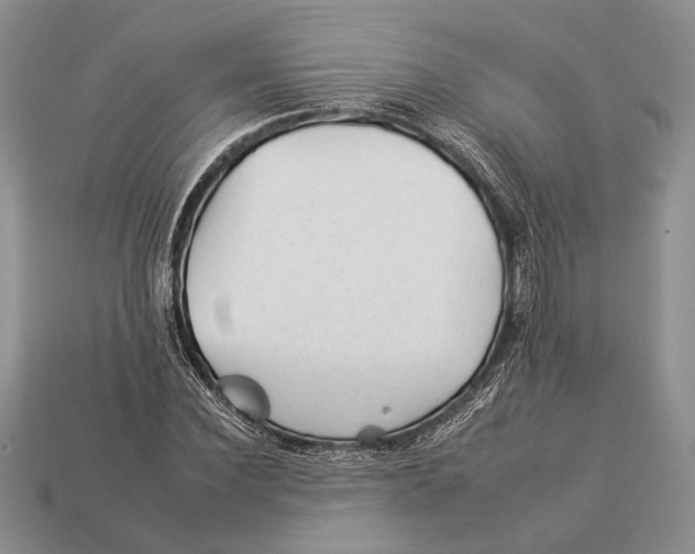 X0000112930924200909211110