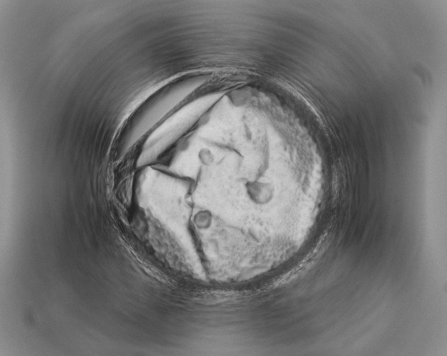 X0000112930925200909211111