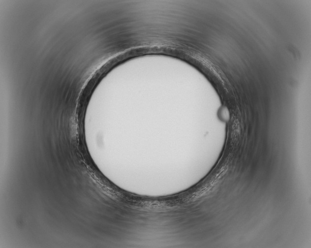 X0000112930927200909211111